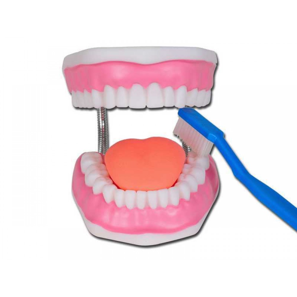 Πρόπλασμα Οδοντοστοιχίας Ενήλικα Gima