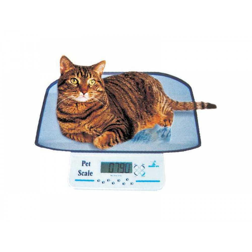 Κτηνιατρικός Ζυγός - μικρός Gima