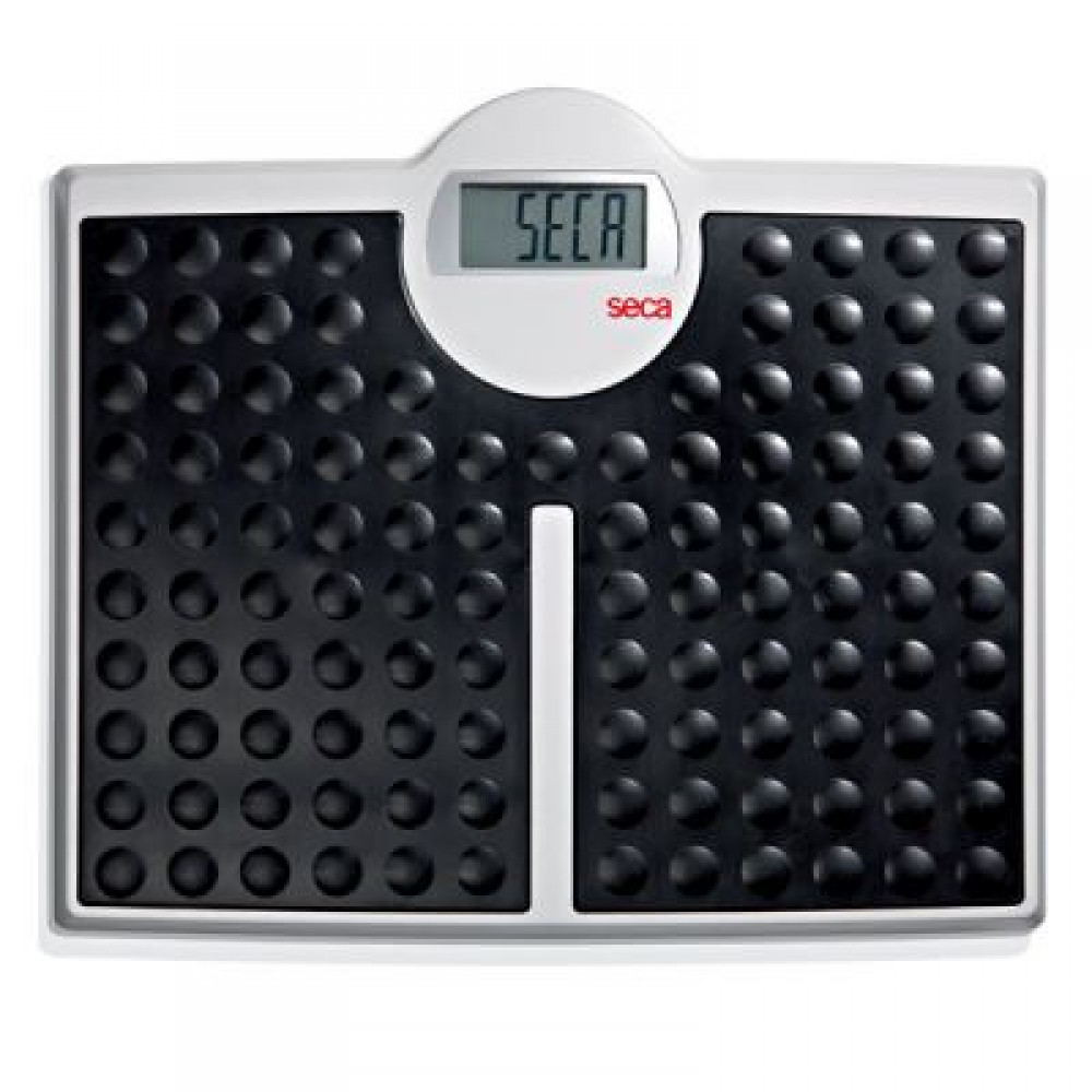 Ηλεκτρονικός Ζυγός Seca Robusta 813 Seca