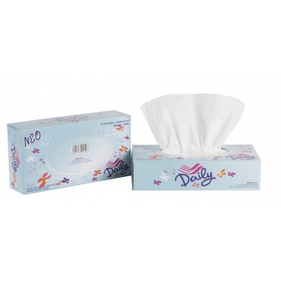 Χαρτομάντηλα Delicate 2 φύλλα 100τμχ