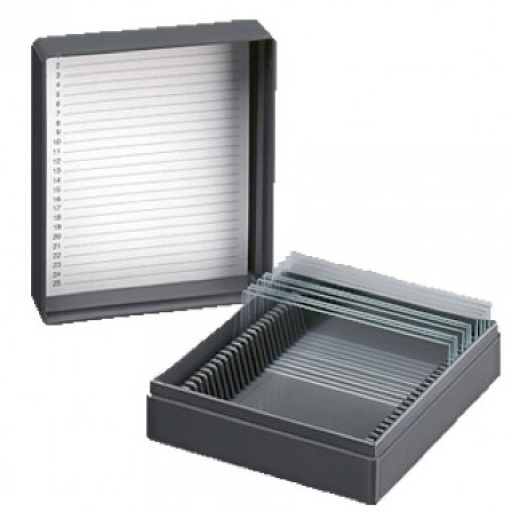 Πλαστική Θήκη Αντικειμενοφόρων 2 θέσεων