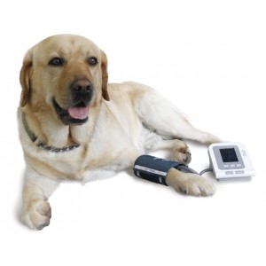 Πιεσόμετρο Κτηνιατρικό CM08A Contec (3 περιχειρίδες)