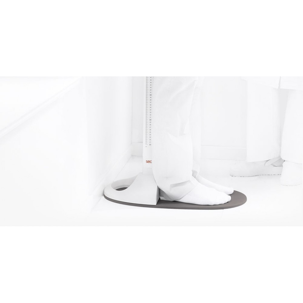 Αναστημόμετρο επιδαπέδιο 217 Seca