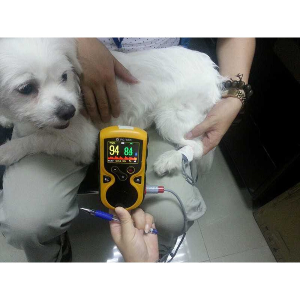 Κτηνιατρικό Οξύμετρο Oxy-100 Gima