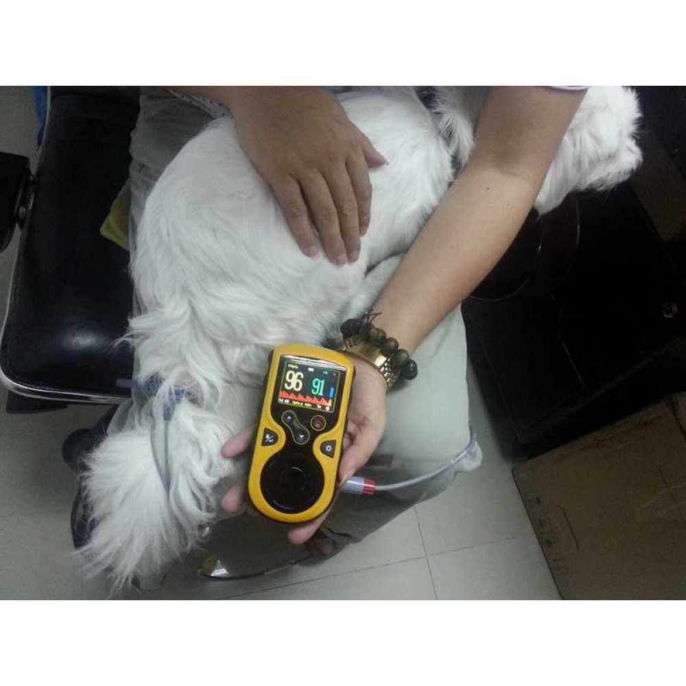 Κτηνιατρικό Οξύμετρο Oxy-100 Gima