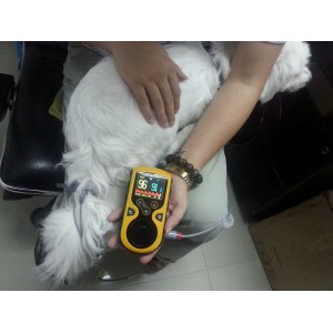 Κτηνιατρικό Οξύμετρο Oxy-100 Gima