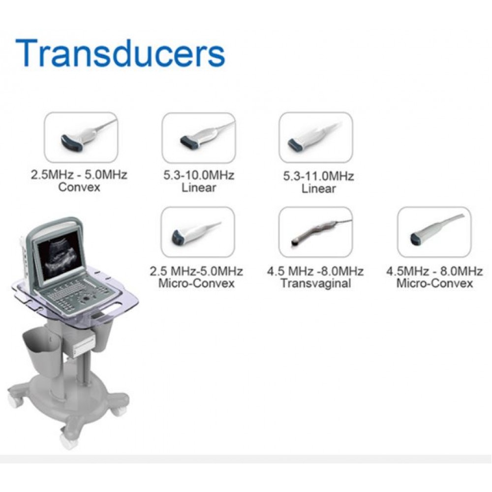 Υπέρηχος Chison Eco 1 Plus με 2 Θύρες Κεφαλής και Μπαταρία