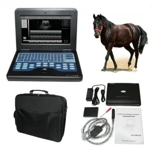 Υπέρηχος Κτηνιατρικός Contec  600P2 με Κτηνιατρική Κεφαλή, Τσάντα Μεταφοράς και Μπαταρία